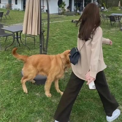 富豪游戏